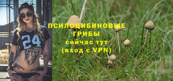 стафф Пестово