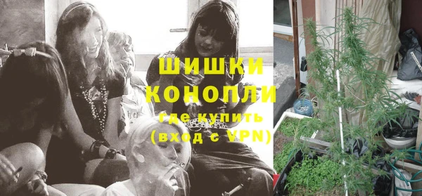 стафф Пестово