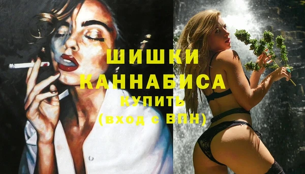 прущие крисы Пересвет