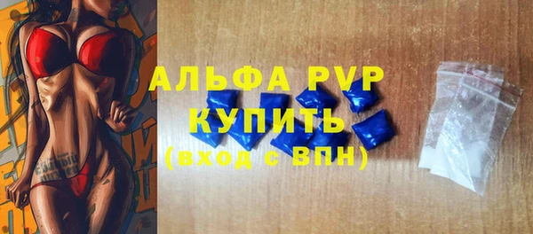 прущие крисы Пересвет