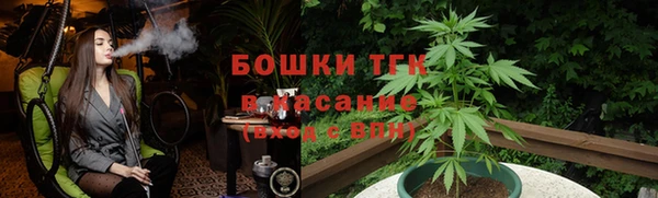 прущие крисы Пересвет