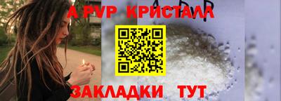 стаф Кунгур