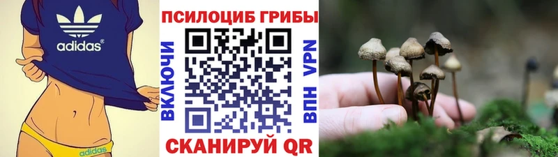купить закладку  Шарыпово  Псилоцибиновые грибы Magic Shrooms 