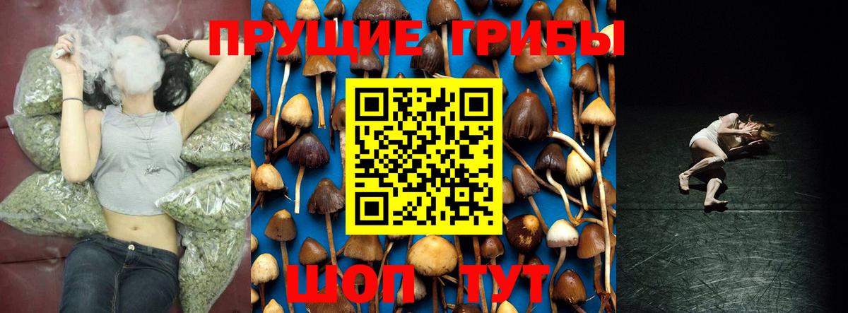 Псилоцибиновые грибы ЛСД  Вход с VPN  Шарыпово 