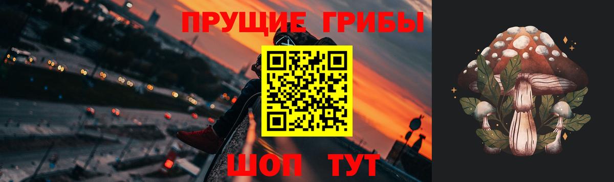 Псилоцибиновые грибы Psilocybine cubensis Шарыпово